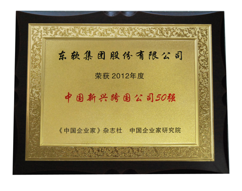 yh0612cc������ѡ2012����й����˿����˾50ǿ